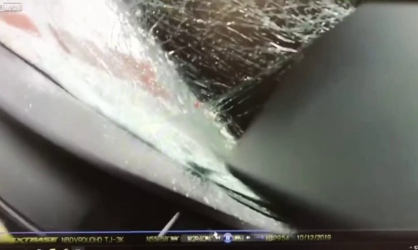 CRAZY NEAR DEATH COMPILATION JANUARY 2020