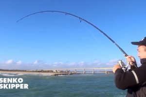 Craziest Pier Fishing COMPILATION! Sebastian Inlet, Florida