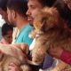 Cute Puppies For You At Galiff Street l Galiff Street Largest Pet Market of India