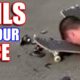 ? DON'T USE YOUR FACE TO PLAY SKATEBOARD ? Ultimate Funny Fails 2019 | Funny Compilation