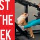 Dog Interrupts Workout and other funny videos! || Best fails of the week! || January 2020!