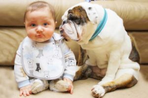 Dogs Playing and Arguing With Baby ★ Dog Loves Baby Videos