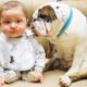 Dogs Playing and Arguing With Baby ★ Dog Loves Baby Videos