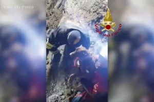 Dogs trapped in a quarry for more than 30 hours rescued by firefighters in Italy