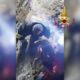 Dogs trapped in a quarry for more than 30 hours rescued by firefighters in Italy