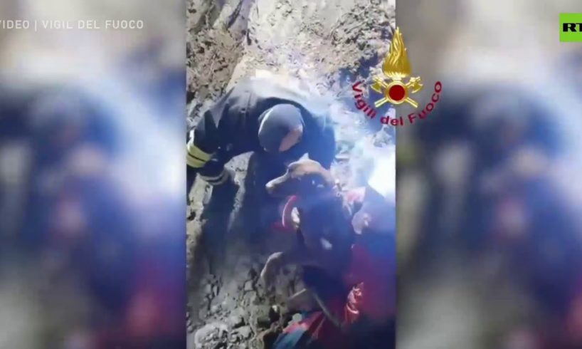 Dogs trapped in a quarry for more than 30 hours rescued by firefighters in Italy