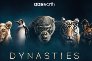 Dynasties: First Look Trailer | New David Attenborough Series | BBC Earth