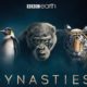 Dynasties: First Look Trailer | New David Attenborough Series | BBC Earth