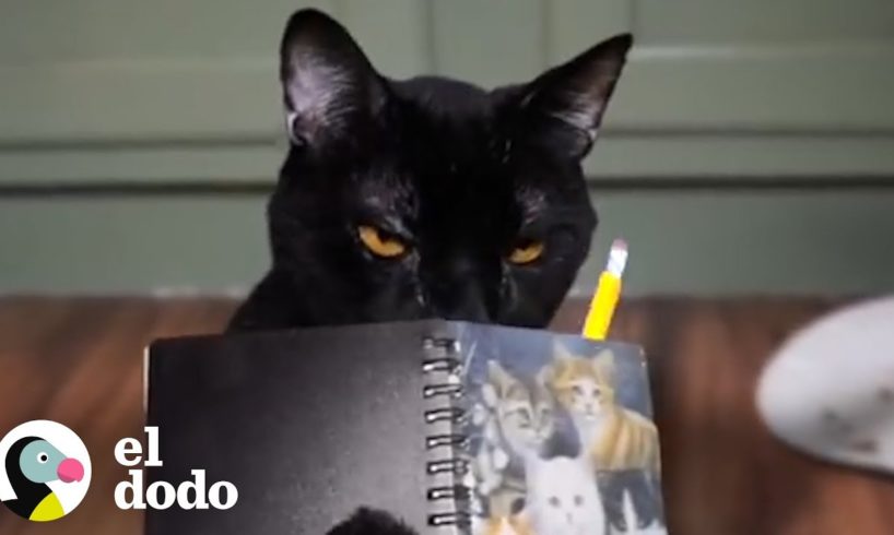 El diario de un gato travieso | El Dodo