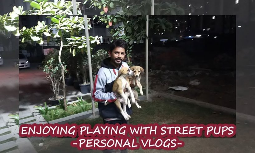 Enjoying Playing with Pups | Cute Puppies | Personal Vlog