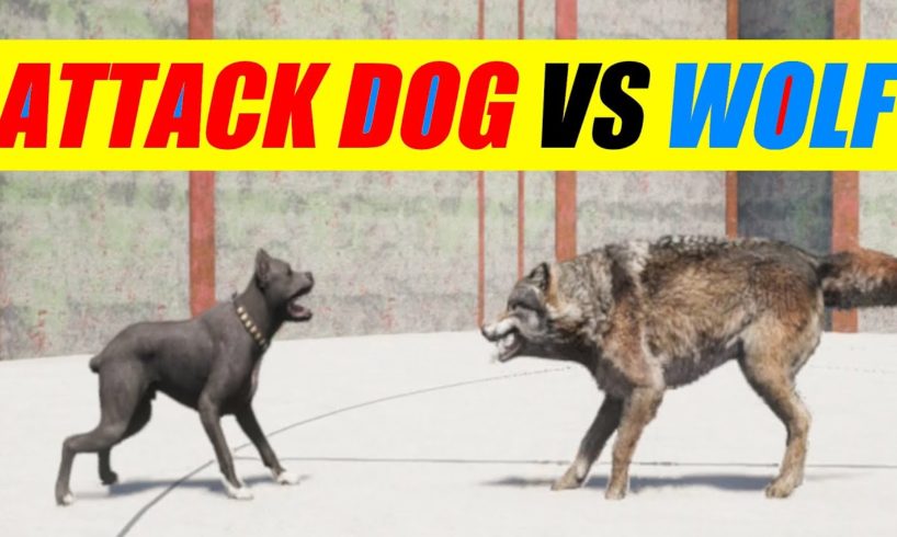 Far Cry 5 Arcade - Animal Fight: Attack Dog vs Wolf Battles (Custom Map Editor)