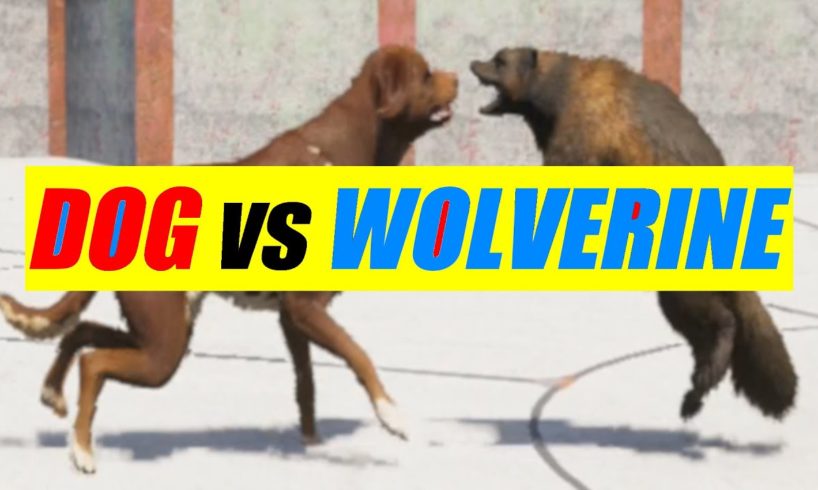 Far Cry 5 Arcade - Animal Fight: Dog vs Wolverine Battles (Custom Map Editor)