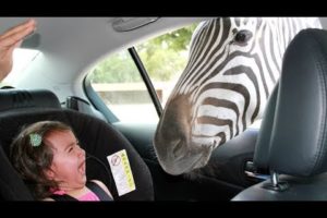 Forget CATS and DOGS! Hilarious KIDS vs ZOO ANIMALS are SO FUNNIER! - You'll DIE LAUGHING!