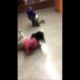 Funniest High school Fight ( Slippery Fight)