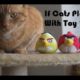 Funny Cats Videos- If Cats Play With Toy ?