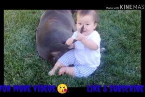 Funny babies playing with animals # 2