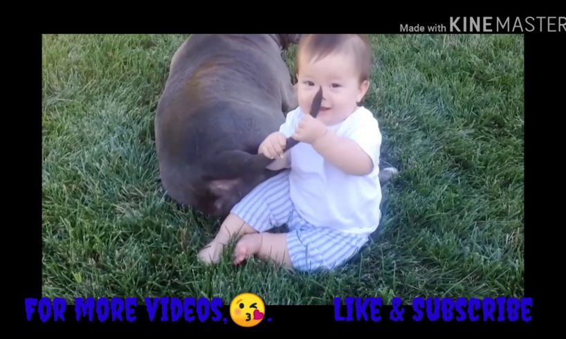 Funny babies playing with animals # 2
