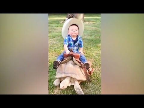 Funny babies playing with animals moment