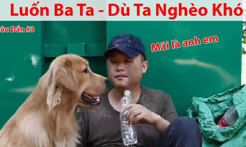 GIA ĐÌNH ĐẦN ĐẦN | Đần đần làm Shipper | Cutest Puppies Doing Funny Things 2020 #4 |Cute Animals