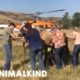 Horse dangles from helicopter during daring rescue | Animalkind