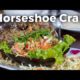 Horseshoe Crab at Paknam Krabi Seafood (ปากน้ำกระบี่ซีฟู๊ด)