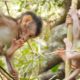 How To Training Newborn Baby animals Climb and Walking, Cute Baby Monkey