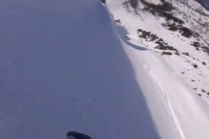 I put Sponge Bob to near death compilation