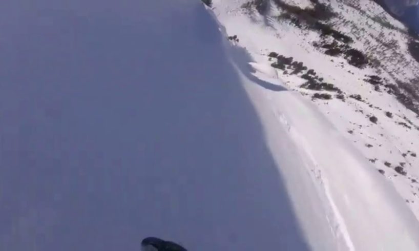 I put Sponge Bob to near death compilation