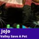 JJ and Jojo: Maumee Valley Save A Pet