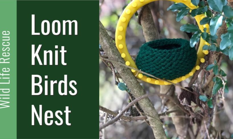 LOOM KNITTING Birds Nest on Round Loom Wildlife Animal Rescue Loomahat