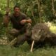 Largest Lizard on Earth | The Komodo Dragon | Deadly 60 | Indonesia | Series 3 | BBC