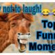 ??MOST FUNNY MOMENT ?? ? TRY NOT TO LAUGH?? PEOPLE ARE AWESOME ??