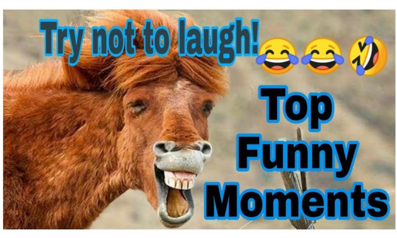 ??MOST FUNNY MOMENT ?? ? TRY NOT TO LAUGH?? PEOPLE ARE AWESOME ??