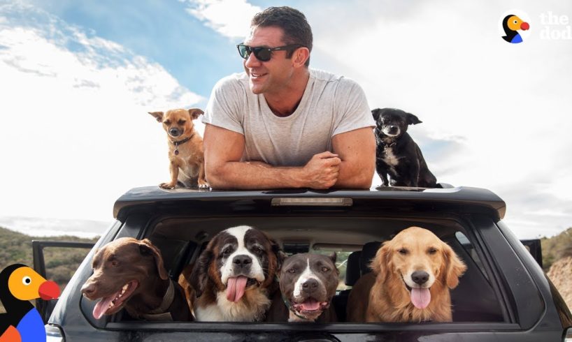 Man and SIX Rescue Dogs Travel The Country In His RV | The Dodo