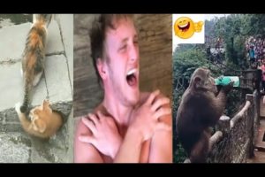 New Funny Videos 2020 best funny videos WATCH and TRY TO STOP LAUGHING