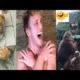 New Funny Videos 2020 best funny videos WATCH and TRY TO STOP LAUGHING