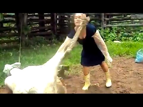 Ozzy Man Reviews: When Animals Fight Back #2