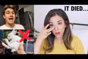 PET YOUTUBER REACTS TO JACOB FEDER'S RESCUED RABBIT ?| What happened?