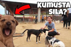 PINUNTAHAN NAMIN ANG MGA NA-RESCUE NA ANIMALS SA TAAL (VLOG#252)