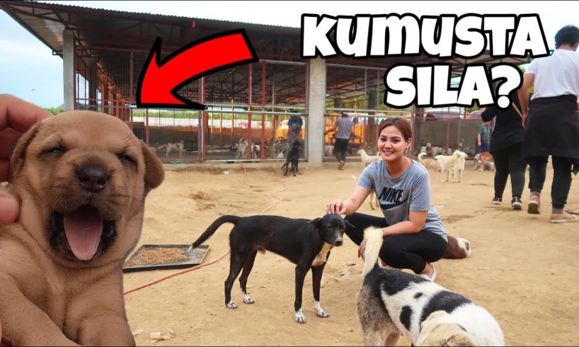 PINUNTAHAN NAMIN ANG MGA NA-RESCUE NA ANIMALS SA TAAL (VLOG#252)