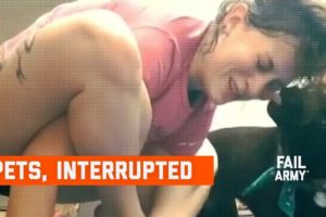 Pets, Interrupted (January 2020) | FailArmy