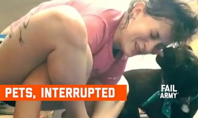 Pets, Interrupted (January 2020) | FailArmy