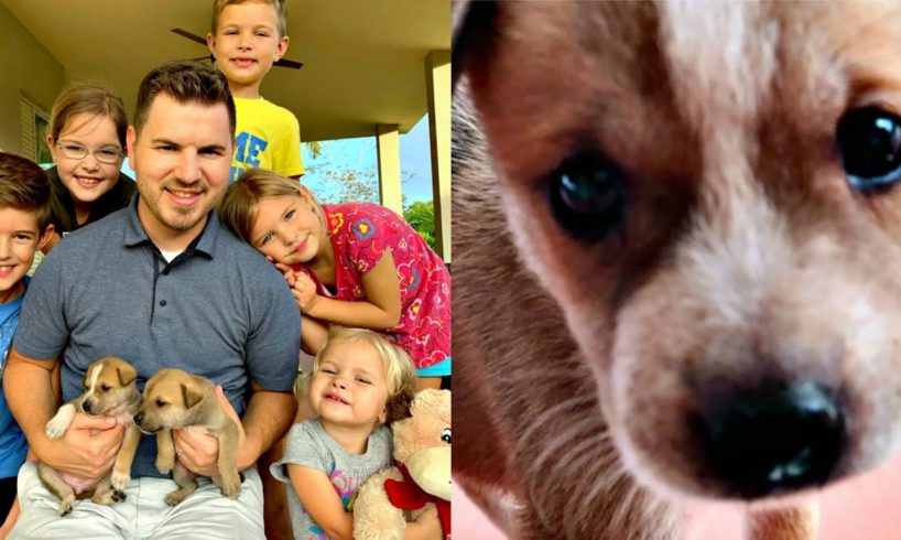 ?Puppies RESCUED from EARTHQUAKE!