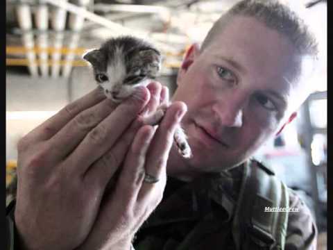 Rescuing Animals From Natural Disasters