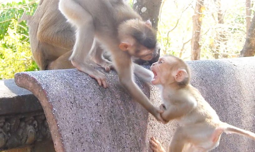 Rocky playing with Brother Rosanna - Playing for peace