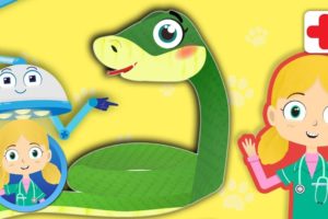 Sally the Snake, the pufferfish, the hen at Dr Poppy’s Pet Rescue | Animal Cartoons for Children