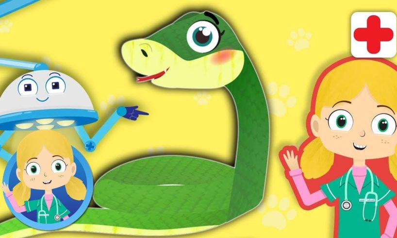 Sally the Snake, the pufferfish, the hen at Dr Poppy’s Pet Rescue | Animal Cartoons for Children