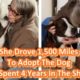 She Drove 1,500 Miles To Adopt The Dog Who Spent 4 Years In The Shelter