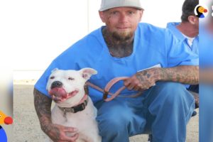 Shelter Dog and Prisoner Give Each Other A Second Chance | The Dodo