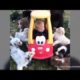 Super cute puppies follow babies for a walk ?? funny babies and pets dogs ? dog baby